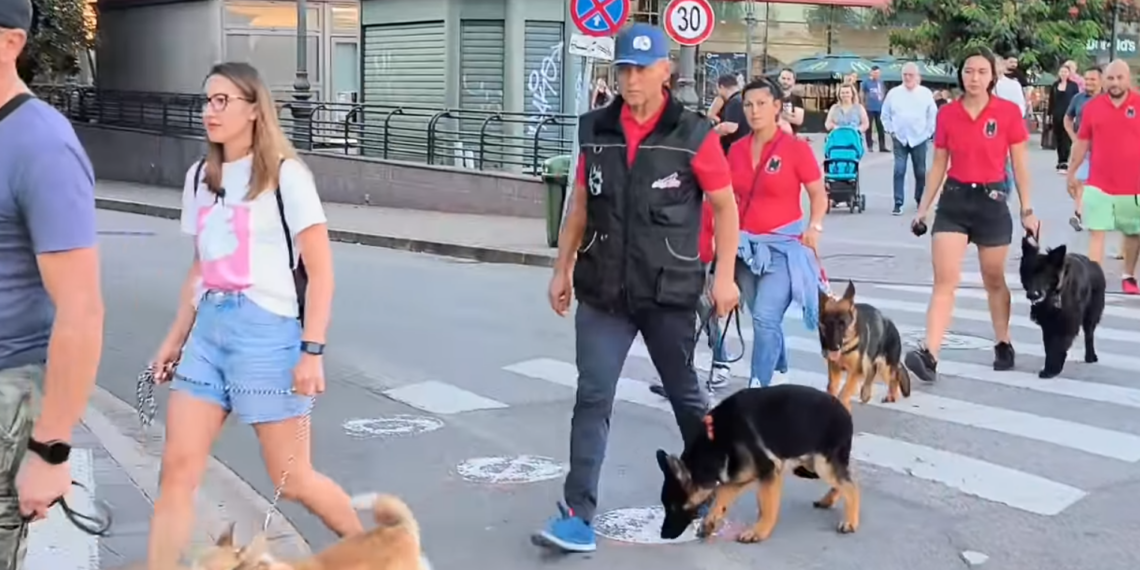 Au defilat cu câinii prin centrul Oradiei. Care e mesajul participanților