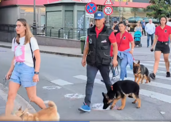 Au defilat cu câinii prin centrul Oradiei. Care e mesajul participanților