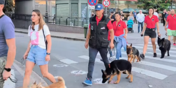 Au defilat cu câinii prin centrul Oradiei. Care e mesajul participanților