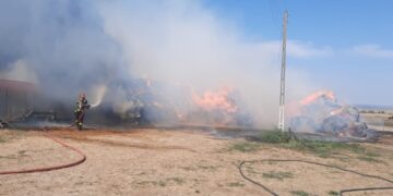 Incendiu la o fermă de 500 de măgari și măgărițe din  Cetariu.7 ore au încercat pompierii să stingă focul