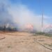 Incendiu la o fermă de 500 de măgari și măgărițe din  Cetariu.7 ore au încercat pompierii să stingă focul
