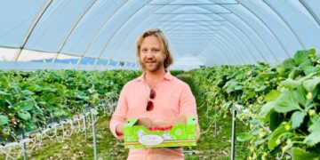 Percheziții, inclusiv la un agent de poliție din Beius, care ar fi luat mita într-un dosar de viol. Oamenii de afaceri Antonio Faccini și Dumitru Gal, vizați în dosar