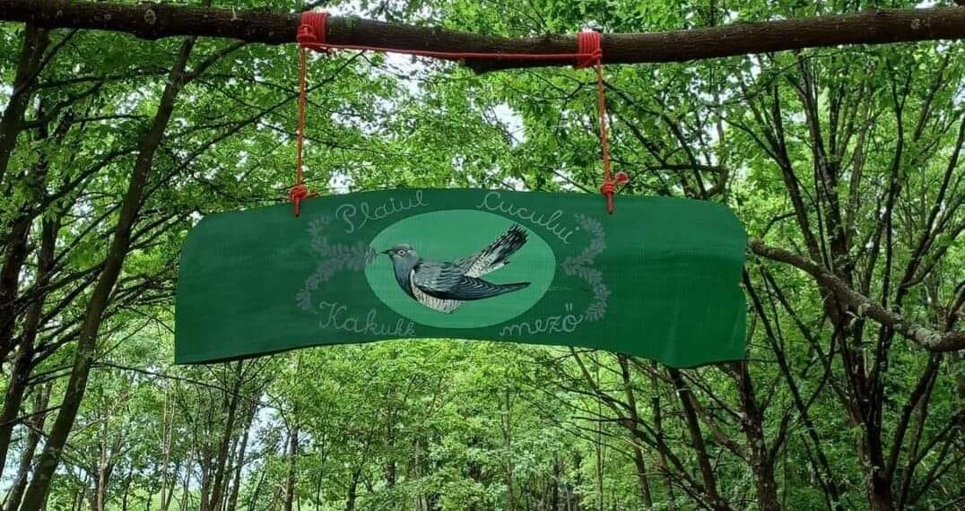 VIDEO. Galerie. ZOO Park-ul Plaiul Cucului Tărcaia, principala atracție pentru copiii din Țara Beiușului, propunere pentru ultimele zile de vacanță