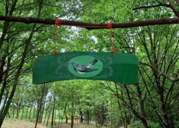 VIDEO. Galerie. ZOO Park-ul Plaiul Cucului Tărcaia, principala atracție pentru copiii din Țara Beiușului, propunere pentru ultimele zile de vacanță