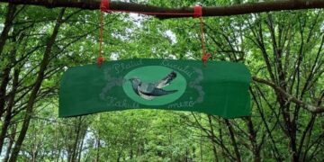 VIDEO. Galerie. ZOO Park-ul Plaiul Cucului Tărcaia, principala atracție pentru copiii din Țara Beiușului, propunere pentru ultimele zile de vacanță