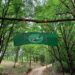 VIDEO. Galerie. ZOO Park-ul Plaiul Cucului Tărcaia, principala atracție pentru copiii din Țara Beiușului, propunere pentru ultimele zile de vacanță