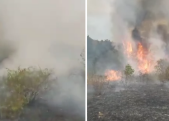  80 hectare de păşune şi pădure au ars în 24 de ore la Vintere