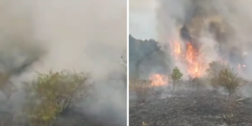  80 hectare de păşune şi pădure au ars în 24 de ore la Vintere