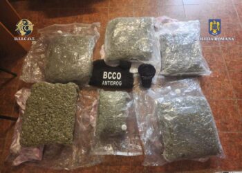 Droguri introduse în țară printr-o firmă de curierat