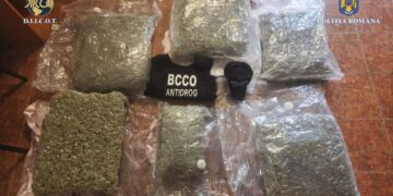 Droguri introduse în țară printr-o firmă de curierat