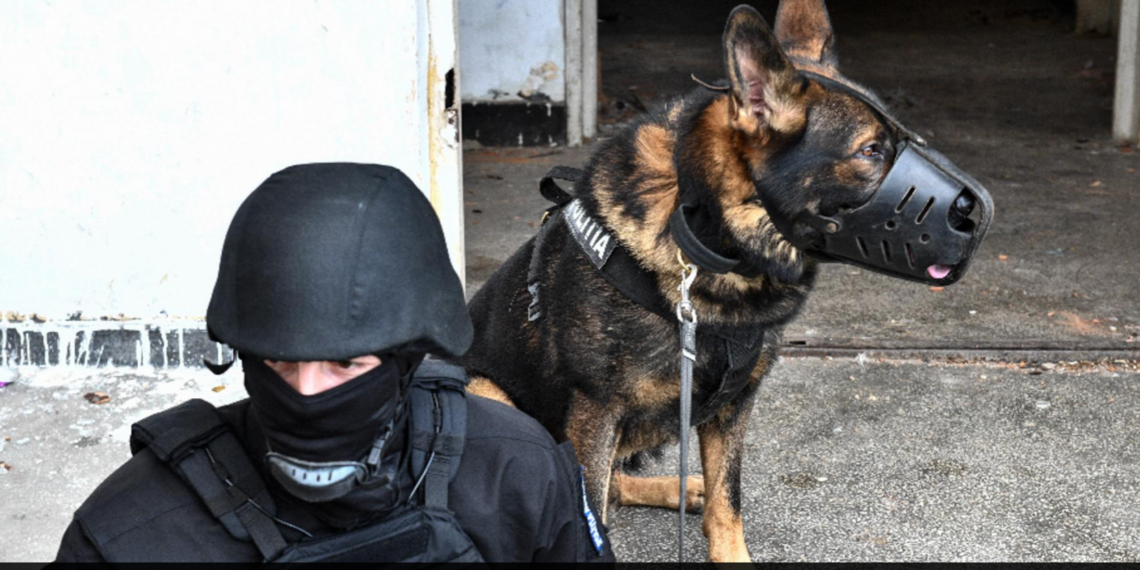 Operațiunea „Jupiter”. Peste ’70 de Percheziții la persoane suspectate de arderi ilegale de deşeuri, braconaj piscicol, furt de lemne din pădure, deţinerea ilegală a unor arme