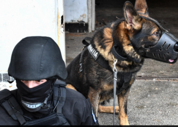 Operațiunea „Jupiter”. Peste ’70 de Percheziții la persoane suspectate de arderi ilegale de deşeuri, braconaj piscicol, furt de lemne din pădure, deţinerea ilegală a unor arme