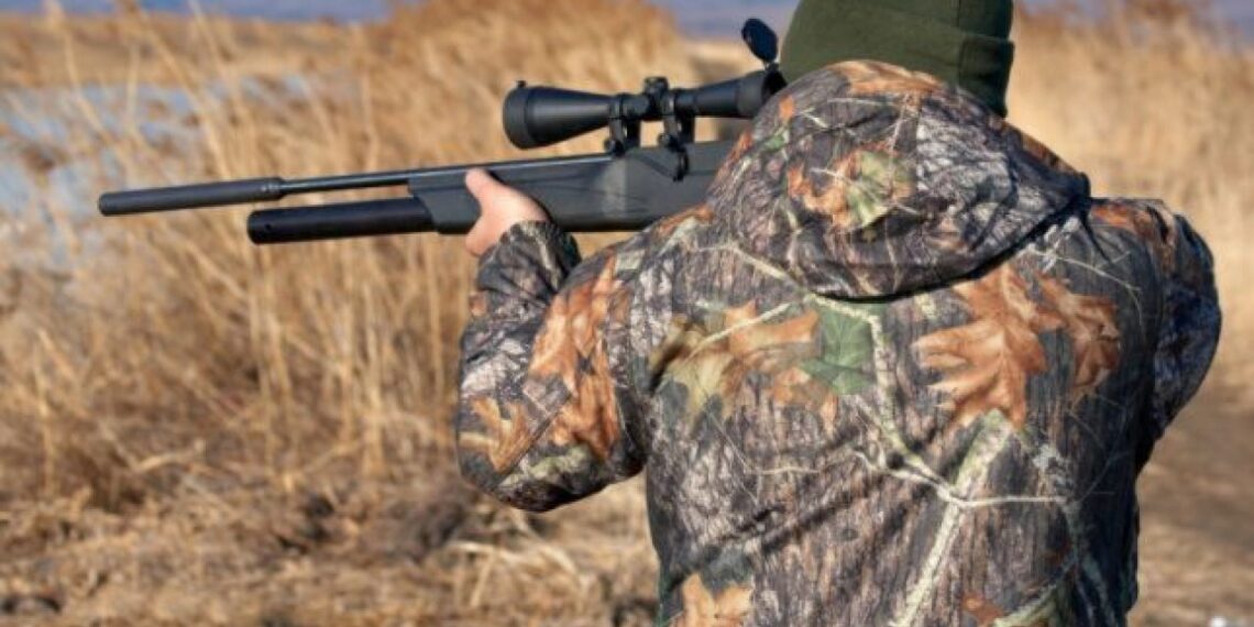 Inginerul silvic care făcea braconaj a scăpat de procesul penal. Autoriza vânătoarea de cerb, șacali, cotofane…