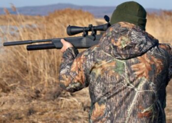 Inginerul silvic care făcea braconaj a scăpat de procesul penal. Autoriza vânătoarea de cerb, șacali, cotofane…