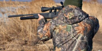 Inginerul silvic care făcea braconaj a scăpat de procesul penal. Autoriza vânătoarea de cerb, șacali, cotofane…