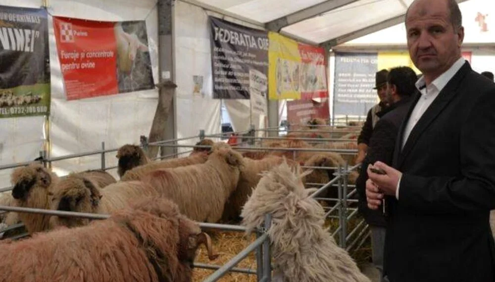 Regele oierilor din România, reţinut de EPPO Timişoara pentru o fraudă de peste 2,2 milioane de euro. Cine a mai fost reţinut şi ce acuzaţii i se mai aduc