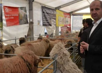 Regele oierilor din România, reţinut de EPPO Timişoara pentru o fraudă de peste 2,2 milioane de euro. Cine a mai fost reţinut şi ce acuzaţii i se mai aduc