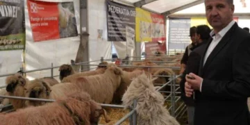 Regele oierilor din România, reţinut de EPPO Timişoara pentru o fraudă de peste 2,2 milioane de euro. Cine a mai fost reţinut şi ce acuzaţii i se mai aduc