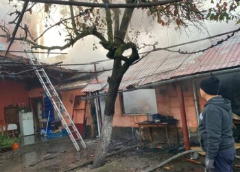 Doua case amenințate de flăcări în Tăut