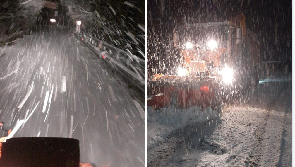 Ninge cu nemiluita la Budureasa- Stana de Vale. Zăpadă și la Sinteu, Arieseni-Vartop