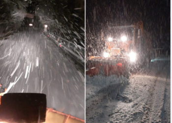 Ninge cu nemiluita la Budureasa- Stana de Vale. Zăpadă și la Sinteu, Arieseni-Vartop