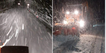 Ninge cu nemiluita la Budureasa- Stana de Vale. Zăpadă și la Sinteu, Arieseni-Vartop