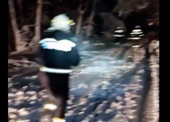 Zeci de copaci căzuți pe drumul dintre Sinteu și Pestis. Au intervenit pompierii