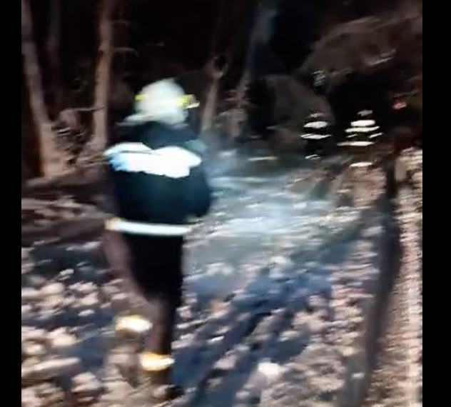 Zeci de copaci căzuți pe drumul dintre Sinteu și Pestis. Au intervenit pompierii