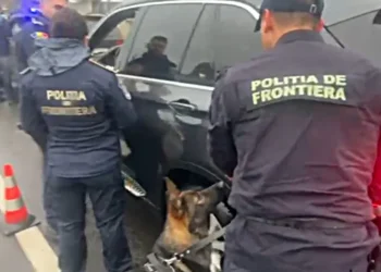 „GREEN- PASS”: Cu  cainii de urma în Vama. Se caută transporturi ilegale de migranți, acțiuni de  contrabanda. Verificate locații de cazare și  locurilor de muncă ale cetățenilor străini non-UE