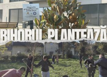 „Bihorul Plantează”: Universitatea din Oradea aduce verdeață în campus cu 100 de noi copaci