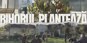 „Bihorul Plantează”: Universitatea din Oradea aduce verdeață în campus cu 100 de noi copaci