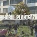 „Bihorul Plantează”: Universitatea din Oradea aduce verdeață în campus cu 100 de noi copaci