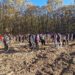Peste 14.000 de puieți de gorun, cer, frasin , salcâm, plantați de copiii