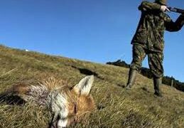 Bărbatul din Tilecus care și-a împușcat nepotul la vânătoare de vulpi, condamnat