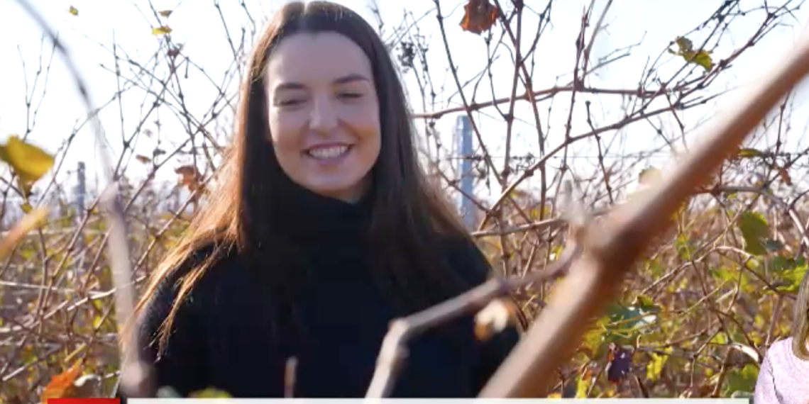 Știrile ProTv:Betty antreprenorul din Bihor care isi spune povestea de Ziua Națională. Pune în practică, la Oradea, toată știința și cunoștințele acumulate în străinătate