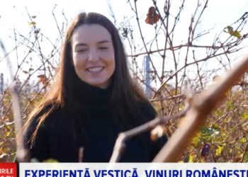 Știrile ProTv:Betty antreprenorul din Bihor care isi spune povestea de Ziua Națională. Pune în practică, la Oradea, toată știința și cunoștințele acumulate în străinătate