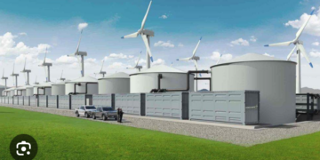 Doua firme din Bihor au primit 170 milioane de lei ajutor de stat