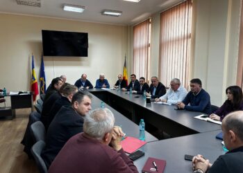 Întâlnire de lucru în zona Aleșd cu autoritățile locale și Distribuție Energie Electrică România (DEER) – sucursala Oradea