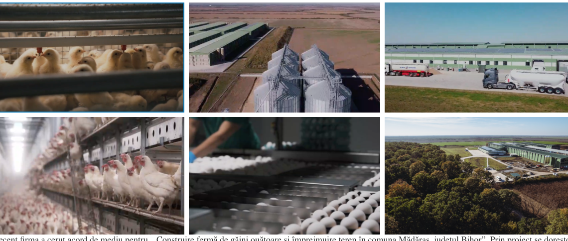 Firma din Bihor care face cele mai mari exporturi de oua din România, „Oul de Tinca”, construiește o ferma de găini la Madaras cu capacitatea de 1.226.500 capete/serie