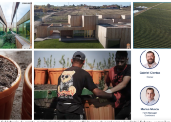 Firma de IT care are sediul în cea mai mare clădire  pasiva din Europa, la Saldabagiu de Munte,  investiții în zeci de ha de afini la Salonta. „Ne propunem să devenim cel mai mare producător de afine Sekoya din Europa”