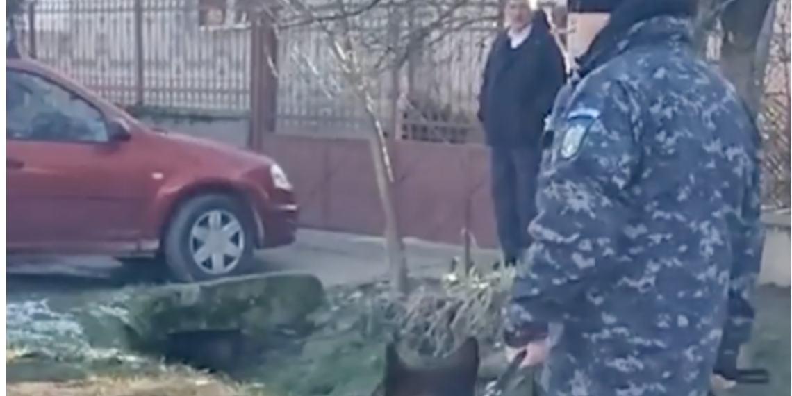 Mister în jurul crimei din Tarcea. Cine era femeia găsită moarta în propria locuință alături de fiul ei