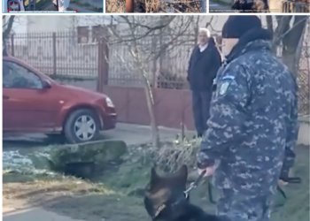 Mister în jurul crimei din Tarcea. Cine era femeia găsită moarta în propria locuință alături de fiul ei