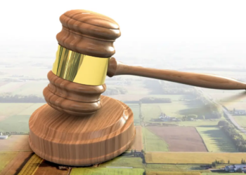 Legea arendei, care impune arendarea terenurilor agricole pe minimum 7 ani, contestată la CCR