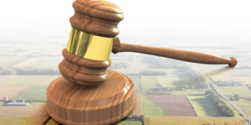 Legea arendei, care impune arendarea terenurilor agricole pe minimum 7 ani, contestată la CCR