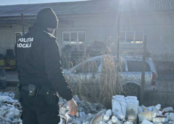 Bomba cu ceas langa Oradea.Deșeurile unei firme de comerț cu produse fitosanitare, în faliment, abandonate.Lichidatorul judiciar nu a dus măsura distrugerii la îndeplinire