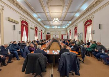 Cine sunt primarii care  vor reprezenta județul Bihor în Consiliul pentru Dezvoltare Regională Nord-Vest