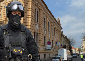 Ofiterul de politie care vindea secrete despre avizele de munca unui sirian