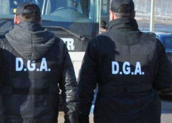 Corupție în lanțurile de retail: anchetă DGA privind mita oferită pentru recepția fructelor de pădure