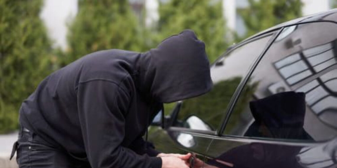 Curtea de Apel Oradea a admis modificarea regimului pedepsei într-un caz de furt