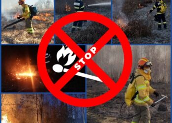 Peste 60 de incendii de vegetație produse sâmbătă și duminică, în Bihor